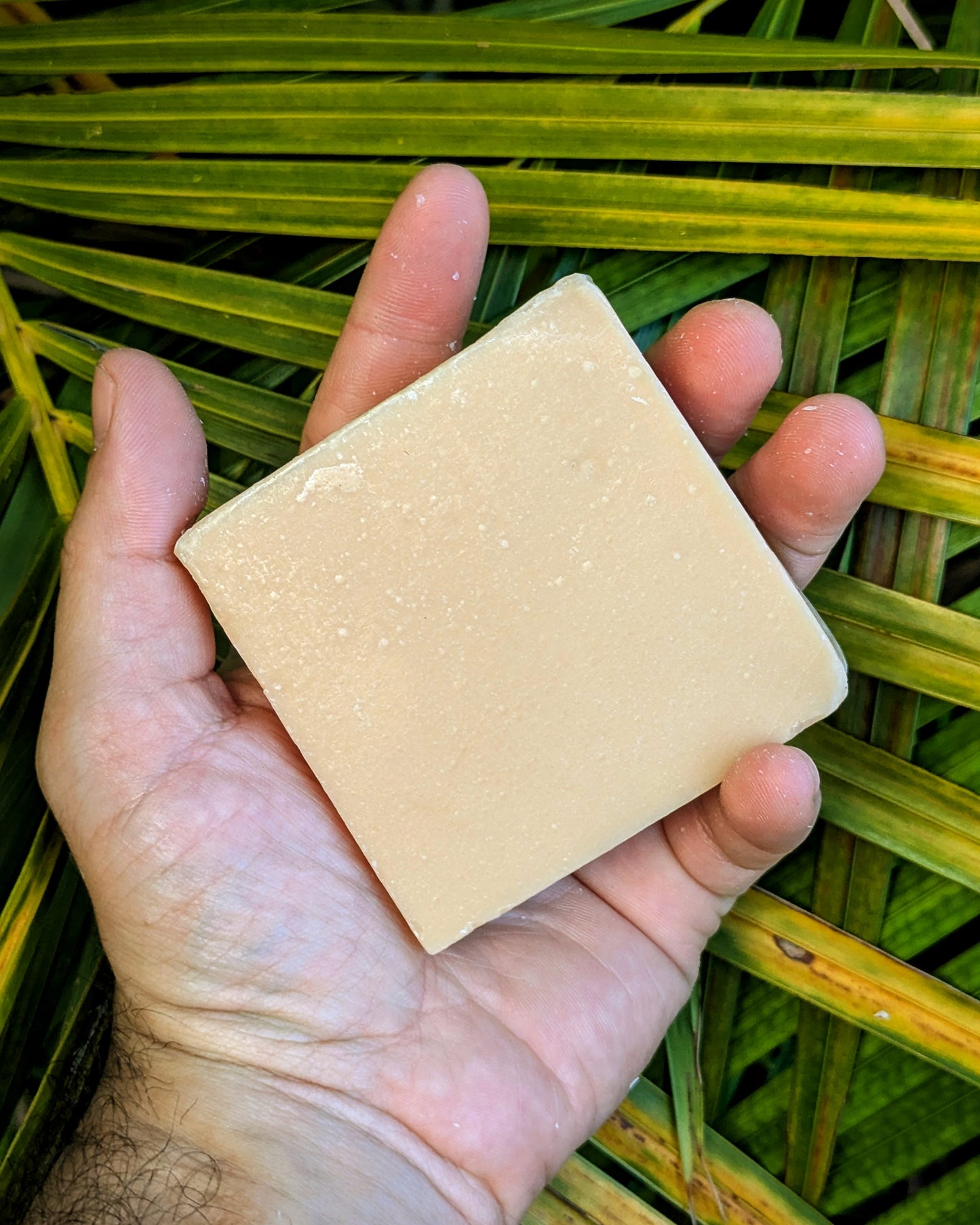 Lemon Coconut