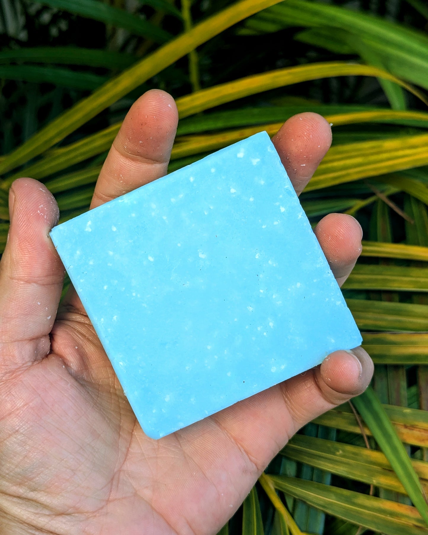 Ocean Breeze Soap Bar